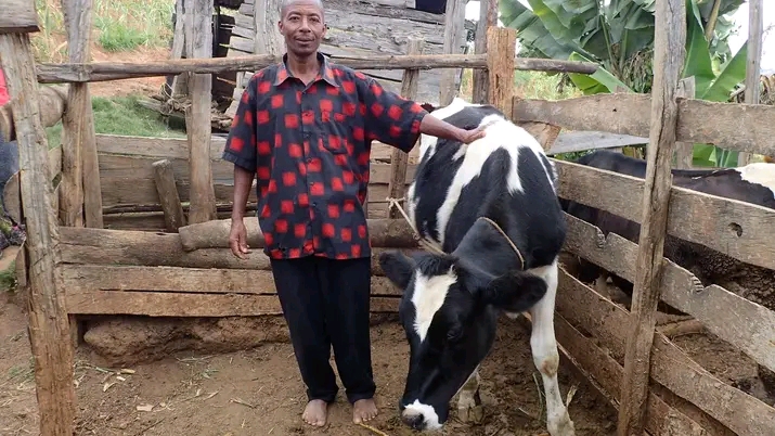 Saul with his cow and biogas system